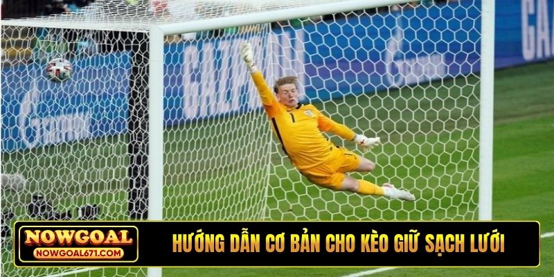 Hướng dẫn cơ bản cho kèo giữ sạch lưới